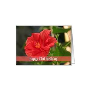  Red Floral 23rd Birthday Card Card Toys & Games