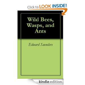 Wild Bees, Wasps, and Ants Edward Saunders, Constance Saunders 