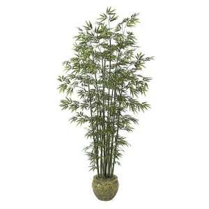   Foliages W 2903   9.5 Foot Bamboo Palm   Green Cane