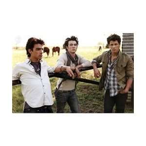 Jonas Brothers (Sunshine) Music Poster 
