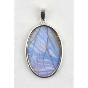  Pearl Blue Morpho Butterfly Wing Large Oval Pendant Arts 