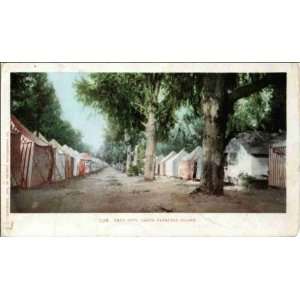  Reprint Santa Catalina Island CA   Tent City 1900 1909