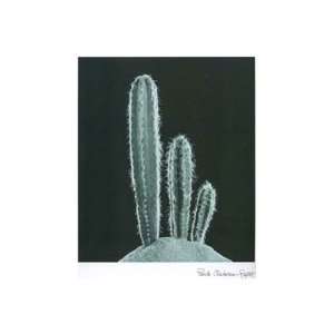 raget   Cactus Plants II by P. Chaban Raget 12x16  Kitchen 