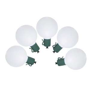 com Set of 10 Battery Operated Sugared White LED G50 Christmas Lights 