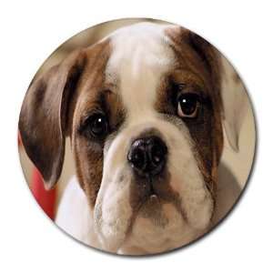 American Bulldog Puppy Dog Round Mousepad BB0009