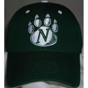Northwest Missouri State Bearcats One Fit NCAA Wool Flex Cap (Team 