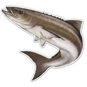 Salty Bones Action Fish Decal 5 1/2in X 7in Cobia Md# ED2502SB 