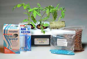 New 3 Plant Complete Hydroponics Hydro Garden Grow System Kit with 