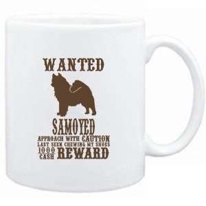   White  Wanted Samoyed   $1000 Cash Reward  Dogs