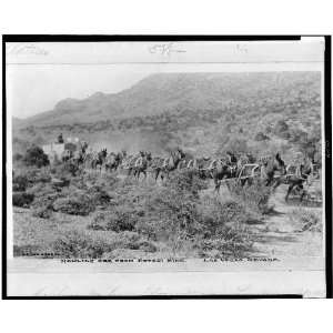  Hauling ore Potosi mine, Las Vegas, Nevada,NV 1890s