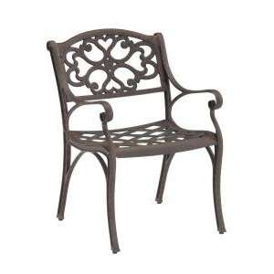   Styles Brown Outdoor Patio Arm Chair (Set of Two)