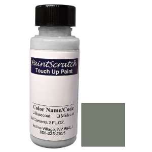 Oz. Bottle of Warm Gray Metallic (cladding) Touch Up Paint for 2001 