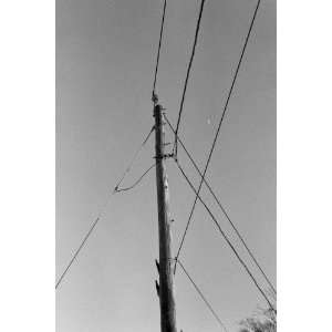  Telephone Pole and Moon, Limited Edition Photograph 