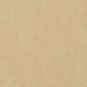  Fabricut Avanti Bamboo 1548229