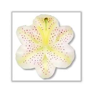 Tiger Lily Floating Candles   Large   White 