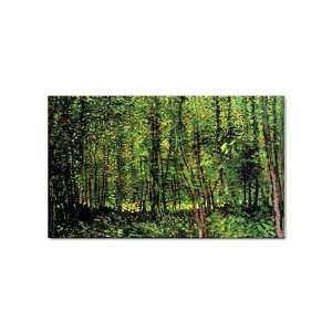  Trees and Undergrowth 2 By Vincent Van Gogh Magnet Office 