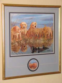 John Akers Limited Edition Signed Labrador Puppy Print  