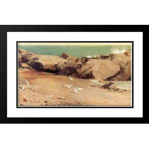   Framed and Double Matted Rocky Coast and Gulls