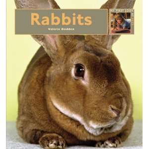  Rabbits (My First Look at Pets) (9781583414606) Valerie 