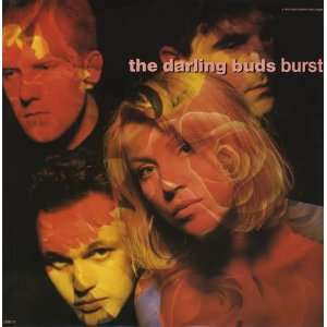  Burst The Darling Buds Music