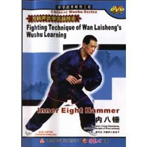  Inner Eight Hammer   Fighting Technique of Wan Laishengs 