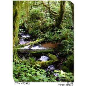  All Weather Art Forest Stream Print