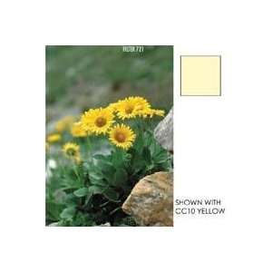  Cokin Yellow Color Correction Filter CC05C Series A 