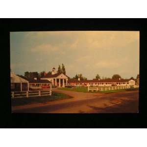  Colony Motel, Jamestown, New York 50s Postcard not 