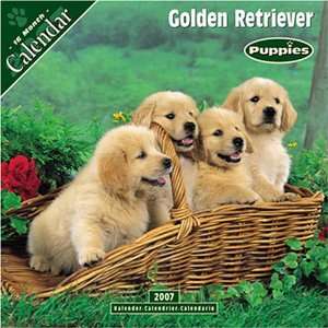    Golden Retriever Puppies 2007 Wall Calendar (9781846621123) Books