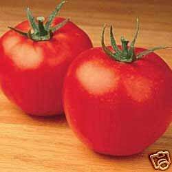Tomato,Rutgers (Heirloom),4 live plants,Vegetable Plant  