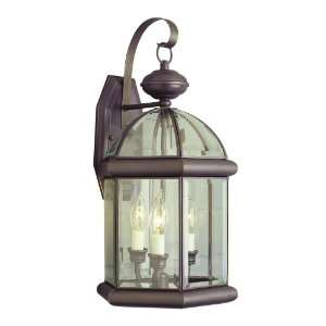 Trans Globe Lighting 4344 BN Brushed Nickel Outdoor Traditional 