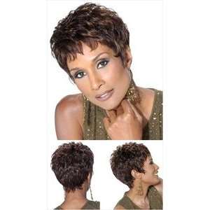  Beverly Johnson 100% Human Hair Wig H222 Health 