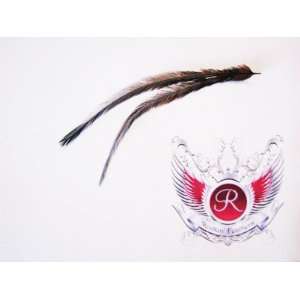   Grizzly Hair Extension Feather (Brown/Black) Long Length Beauty