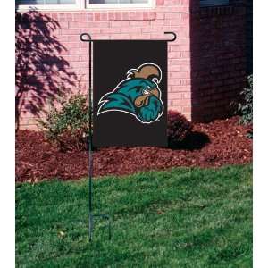   Carolina Chanticleers Garden Mini Flags From Party Animal Sports