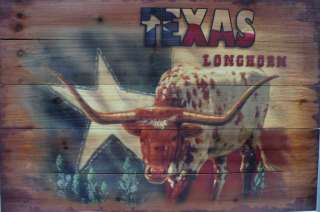 Western Cabin Rustic Decor Texas Star Longhorn Wood Picture Hanging 
