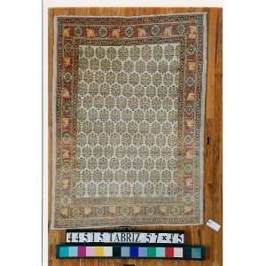   4x5 Hand Knotted Tabriz Persian Rug   45x57