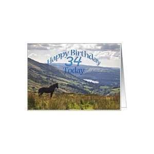  34 Birthday card with a horse and a landscape Card Toys 