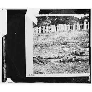 Civil War Reprint Antietam, Maryland. Dead soldiers on battlefield 