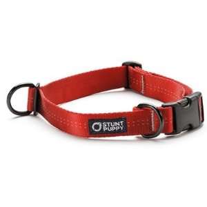   Dog Collar Size Adjusts from 14 21, Color Red