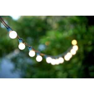  Frosted Globe String Lights Set of 25 G40 FROSTED Bulbs 