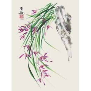Wild Orchids Ll Poster Print