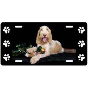  Spinone Italiano License Plate