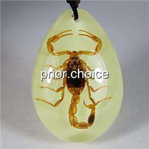 REAL GOLDEN SCORPION GLOW LUCITE NECKLACE PENDANT INSECT JEWELRY 
