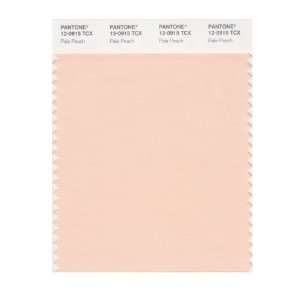  PANTONE SMART 12 0915X Color Swatch Card, Pale Peach