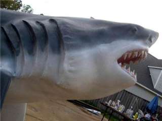   14 ft Hammerhead Shark fish Replica MOUNT Real Teeth and Fierce