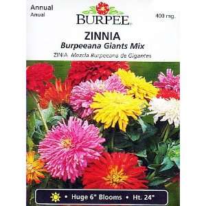   Burpeeanna Giants Mix Zinnia Seeds   400 mg Patio, Lawn & Garden