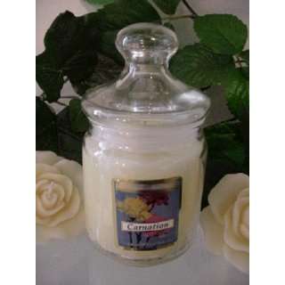 Carnation Scented Apothecary Glass Jar Wax Candle 9.5 Oz.  