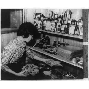   Wanda Reidel,Laboratory,Institute of Zoology,specimens