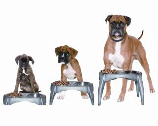 Adjustable Height Elevated Pet Dog Food Bowl Feeder NEW  