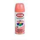 Krylon K05210300 Indoor/Outdoor Spray Paint Coral 12 Oz